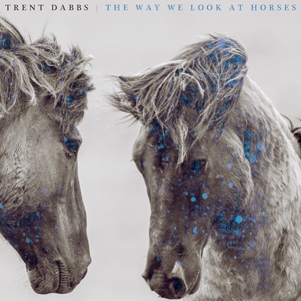 Trent Dabbs: The Way We Look at Horses